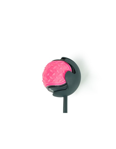Lanceur de Balles pour Chiens Gloria