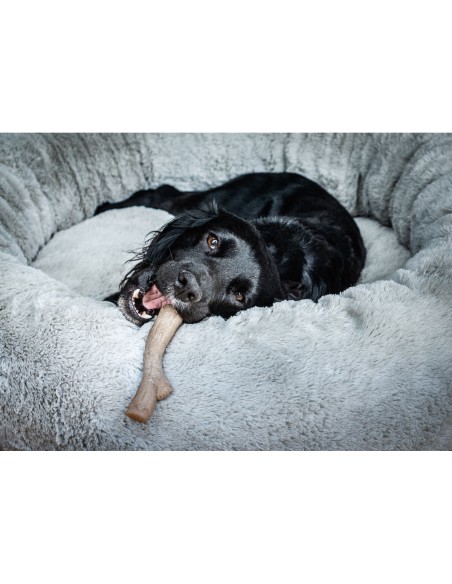 Jouet pour chien Nylabone Marron Beurre de cacahuètes XL