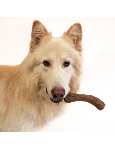 Jouet pour chien Nylabone Marron Beurre de cacahuètes XL