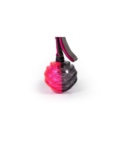 Lanceur de Balles pour Chiens Gloria