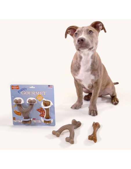 Jouet pour chien Nylabone Marron Beurre de cacahuètes Bacon Artificielle S