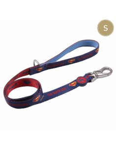 Laisse pour Chien DC Pets