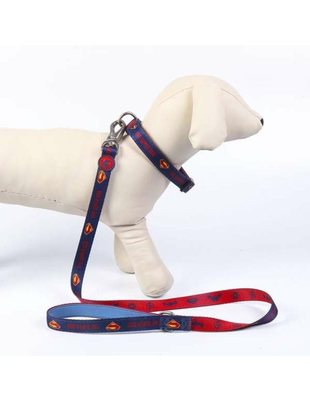 Laisse pour Chien DC Pets