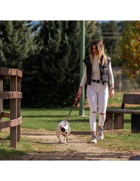 Laisse pour Chien DC Pets