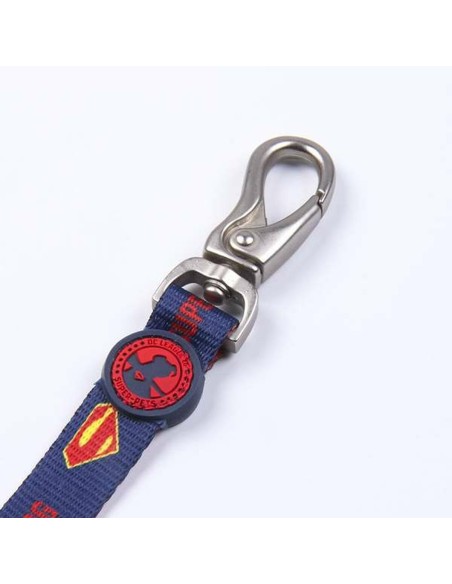 Laisse pour Chien DC Pets
