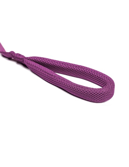 Laisse pour Chien Gloria Violet S