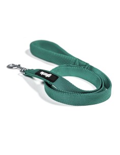 Laisse pour Chien Gloria Turquoise S 2