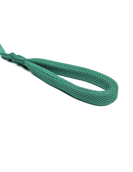 Laisse pour Chien Gloria Turquoise S