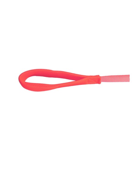 Laisse pour Chien Gloria Rose S