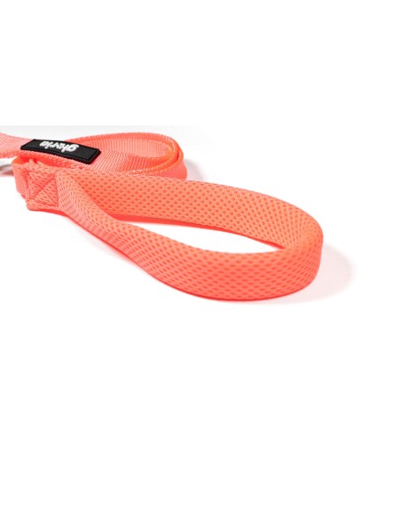 Laisse pour Chien Gloria Rose S