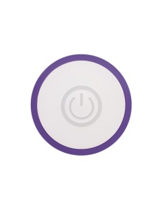 Mini Vibromasseur Evolved Slim Violet 2
