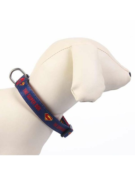 Collier pour Chien DC Pets