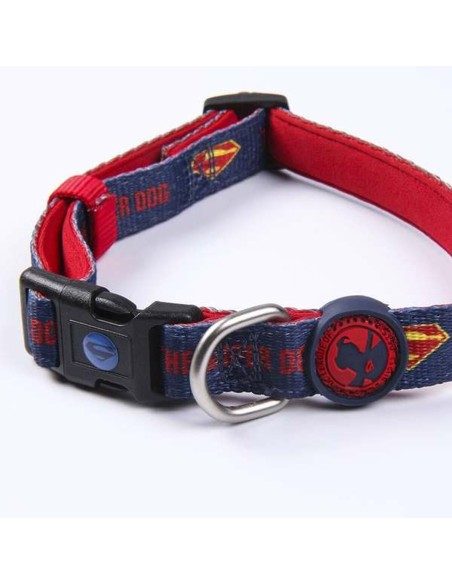 Collier pour Chien DC Pets