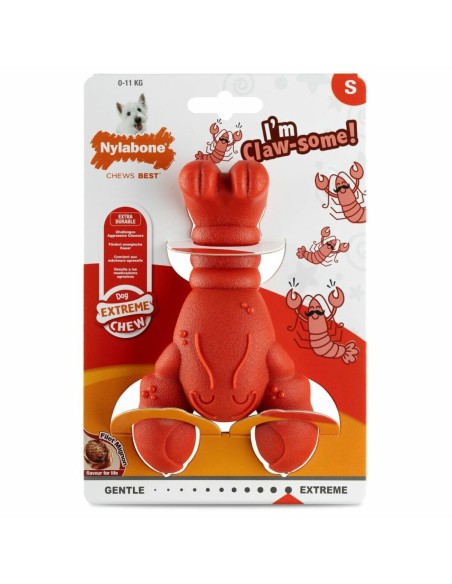 Jouet pour chien Nylabone Rouge Viande de bœuf Artificielle S