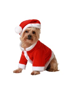 déguisement pour chien Père Noël