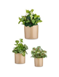 Set de pots Ibergarden CILINDRO-1019 Beige Argile Cylindre Ø 14 cm Ø 22 cm Ø 17 cm 3 Pièces 2