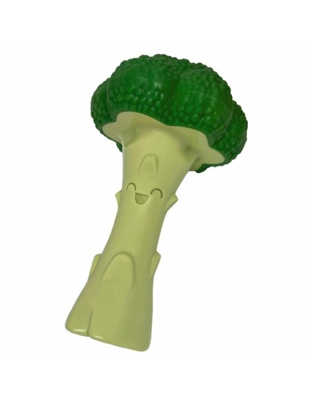 Jouet pour chien Nylabone Vert Artificielle L