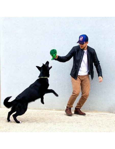 Jouet pour chien The Avengers