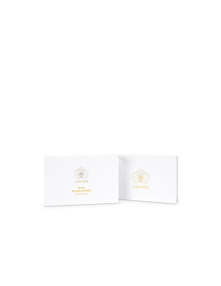 Kit Grand Plaisir Le Wand Mini Pleasures 4
