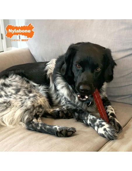 Os Nylabone Marron Bacon L