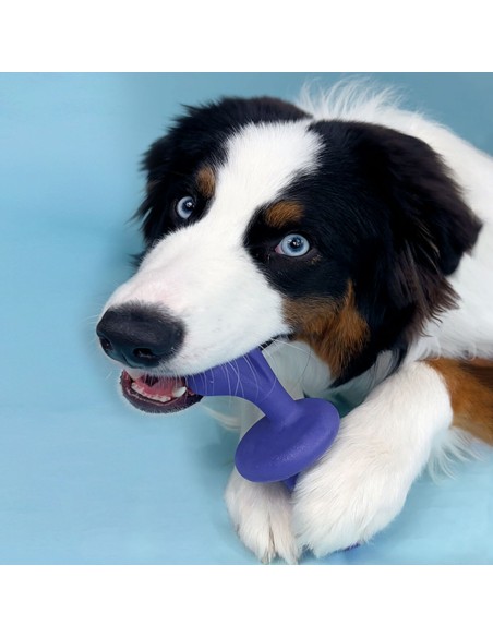Os Nylabone Bleu Bacon L