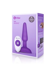 Plug anal avec télécommande B-Vibe 05882530000 Violet