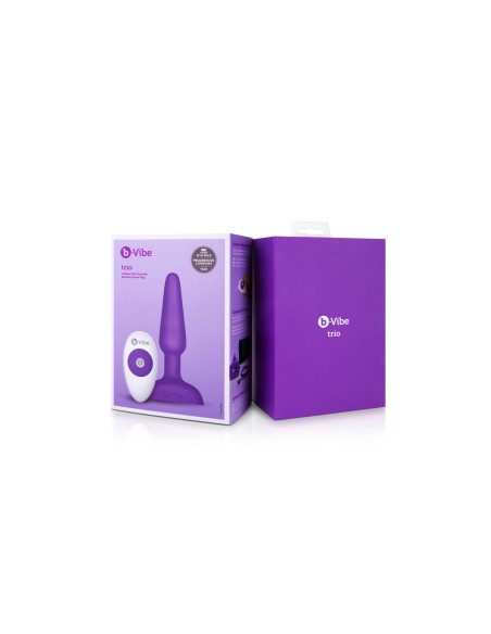 Plug anal avec télécommande B-Vibe 05882530000 Violet