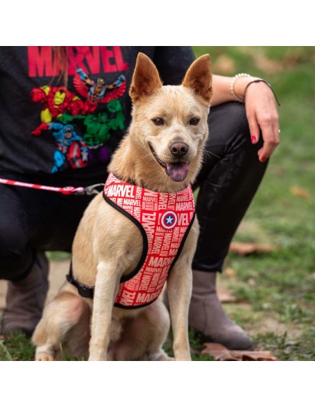 Harnais pour Chien Marvel M/L