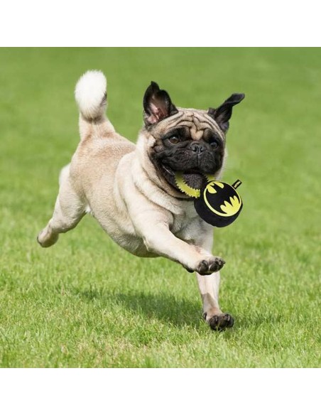 Jouet pour chien Batman