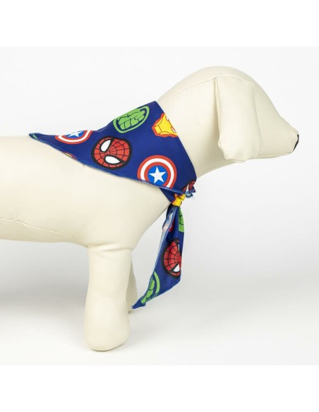 Coffret de bienvenue pour chiens The Avengers 5 Pièces