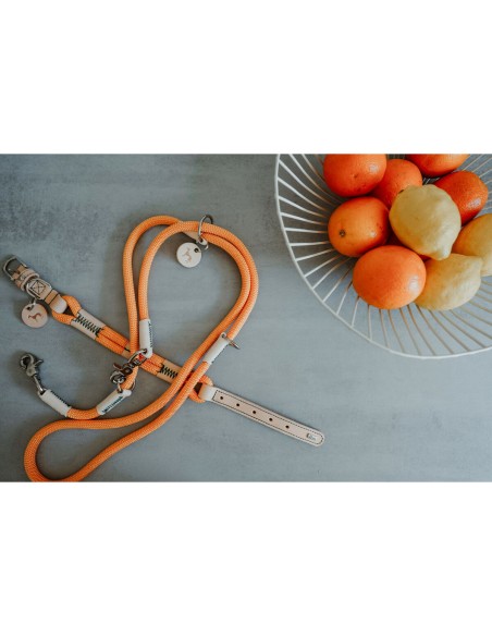 Laisse pour Chien Hunter MALIA Orange 1 x 200 cm