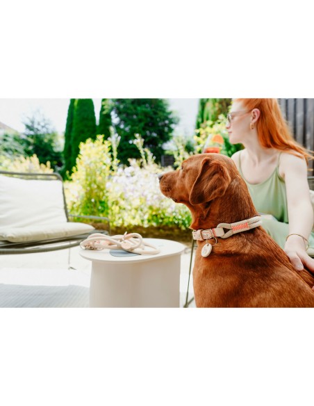 Laisse pour Chien Hunter MALIA Beige 1 x 200 cm