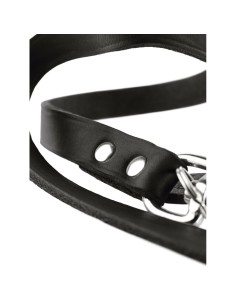 Laisse pour Chien Hunter Noir 200 cm 2