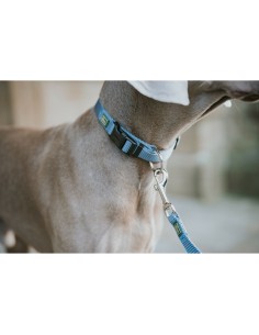 Laisse pour Chien Hunter Bleu 100 cm 2