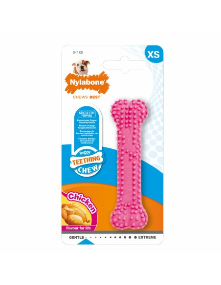 Jouet pour chien Nylabone Birka Rose Poulet XS