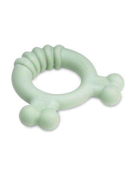Jouet pour chien Nylabone SENSORY TACTILE RING Vert Beurre de cacahuètes Poulet S