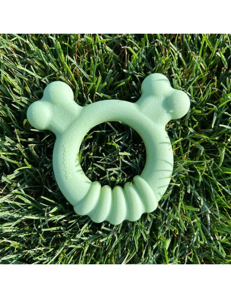 Jouet pour chien Nylabone SENSORY TACTILE RING Vert Beurre de cacahuètes Poulet S