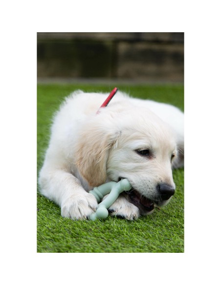 Jouet pour chien Nylabone SENSORY TACTILE RING Vert Beurre de cacahuètes Poulet S