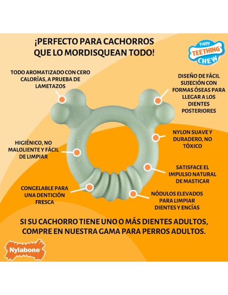 Jouet pour chien Nylabone SENSORY TACTILE RING Vert Beurre de cacahuètes Poulet S