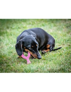 Jouet pour chien Nylabone WISHBONE Rose Poulet XS 2