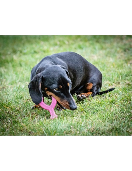 Jouet pour chien Nylabone WISHBONE Rose Poulet XS