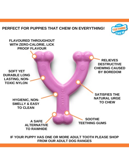Jouet pour chien Nylabone WISHBONE Rose Poulet XS