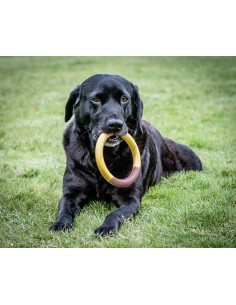 Jouet pour chien Nylabone Ring Jaune Hamburgers L 2