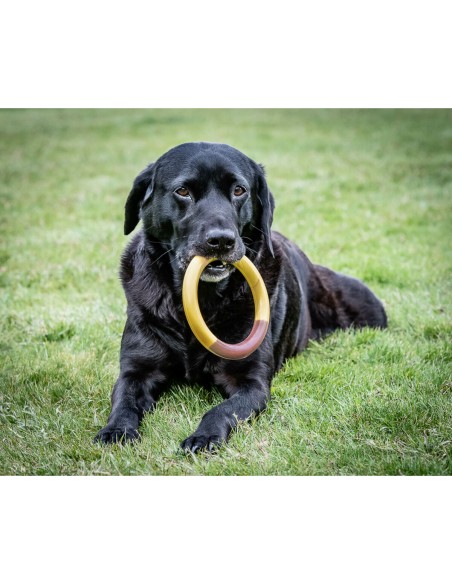 Jouet pour chien Nylabone Ring Jaune Hamburgers L