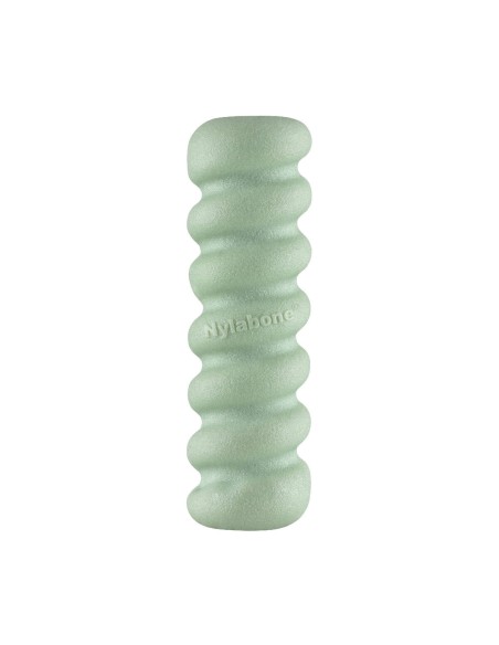 Jouet pour chien Nylabone SENSORY TACTILE STICK Vert Beurre de cacahuètes Bacon S