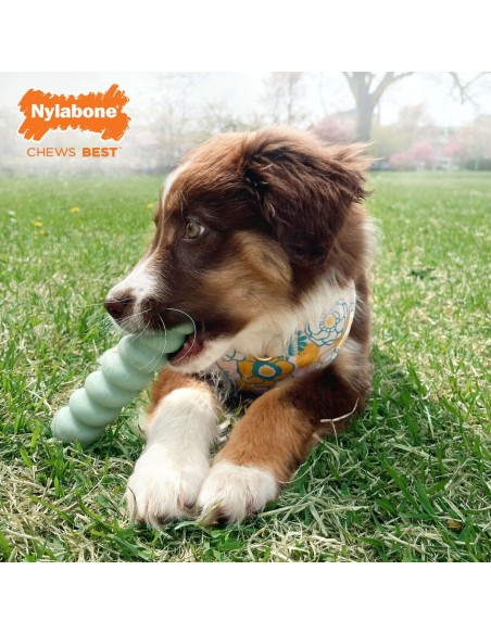 Jouet pour chien Nylabone SENSORY TACTILE STICK Vert Beurre de cacahuètes Bacon S