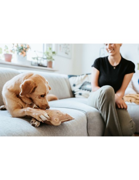 Jouet pour chien Hunter Tough Tundra Beige Raton laveur
