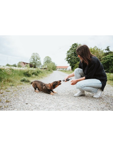 Jouet pour chien Hunter Nebraska Marron Vache