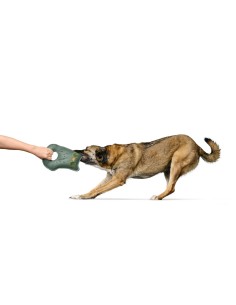 Jouet pour chien Hunter Tough Tundra Vert Hibou 2