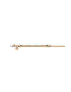 Collier pour Chien Hunter MALIA Beige S/M 35-44 cm 2